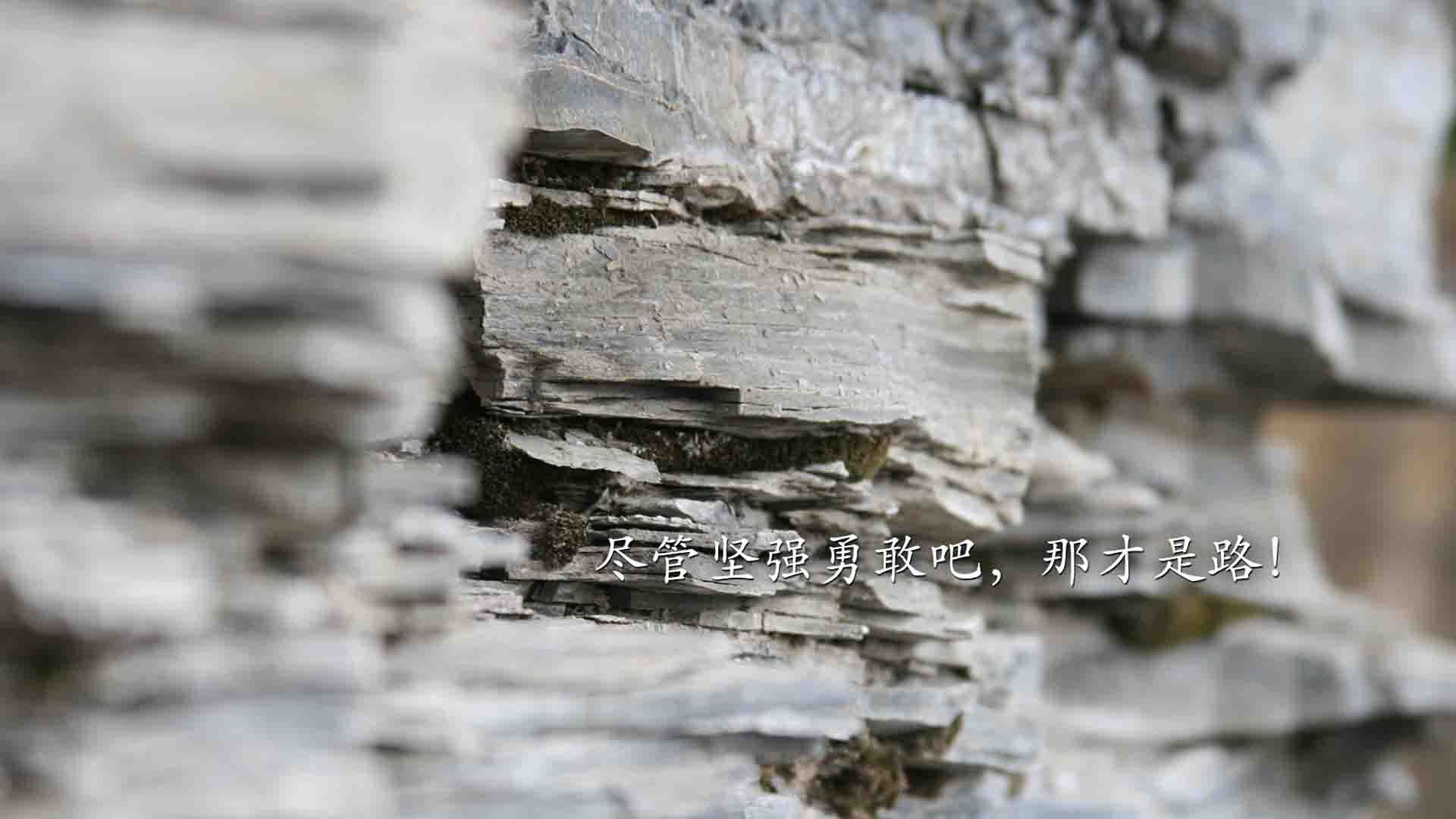 爱游戏官方网站-体育赛事运营效率提升，提高体育赛事效益