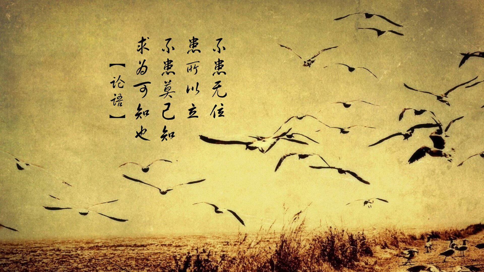 爱游戏体育（AYX）官方APP下载-中超联赛U23国足惨败 数据回顾引发争议，2021中超u23规则