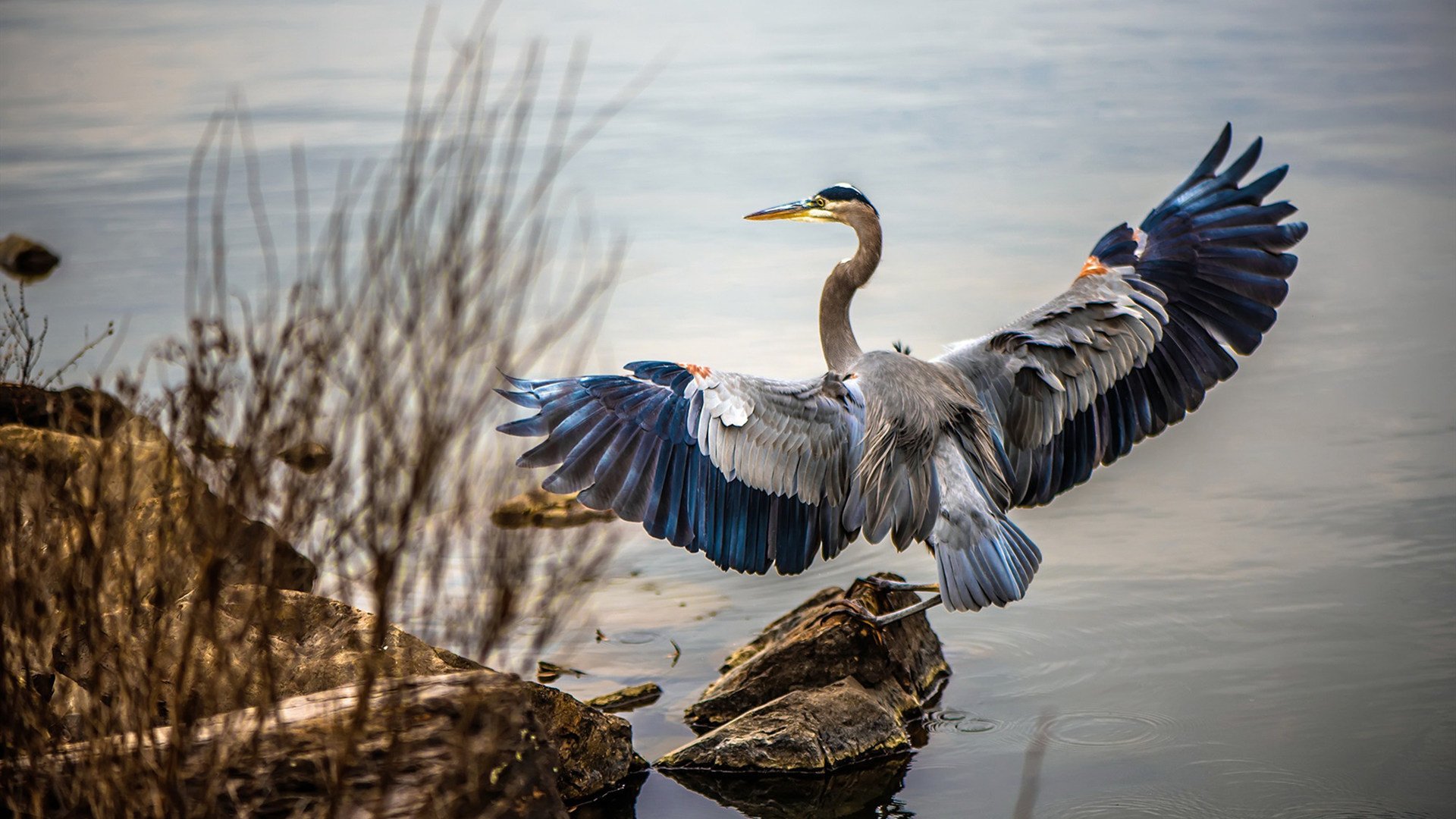 冰雪进校园示范课深入南方试点城市,2020冰雪进校园