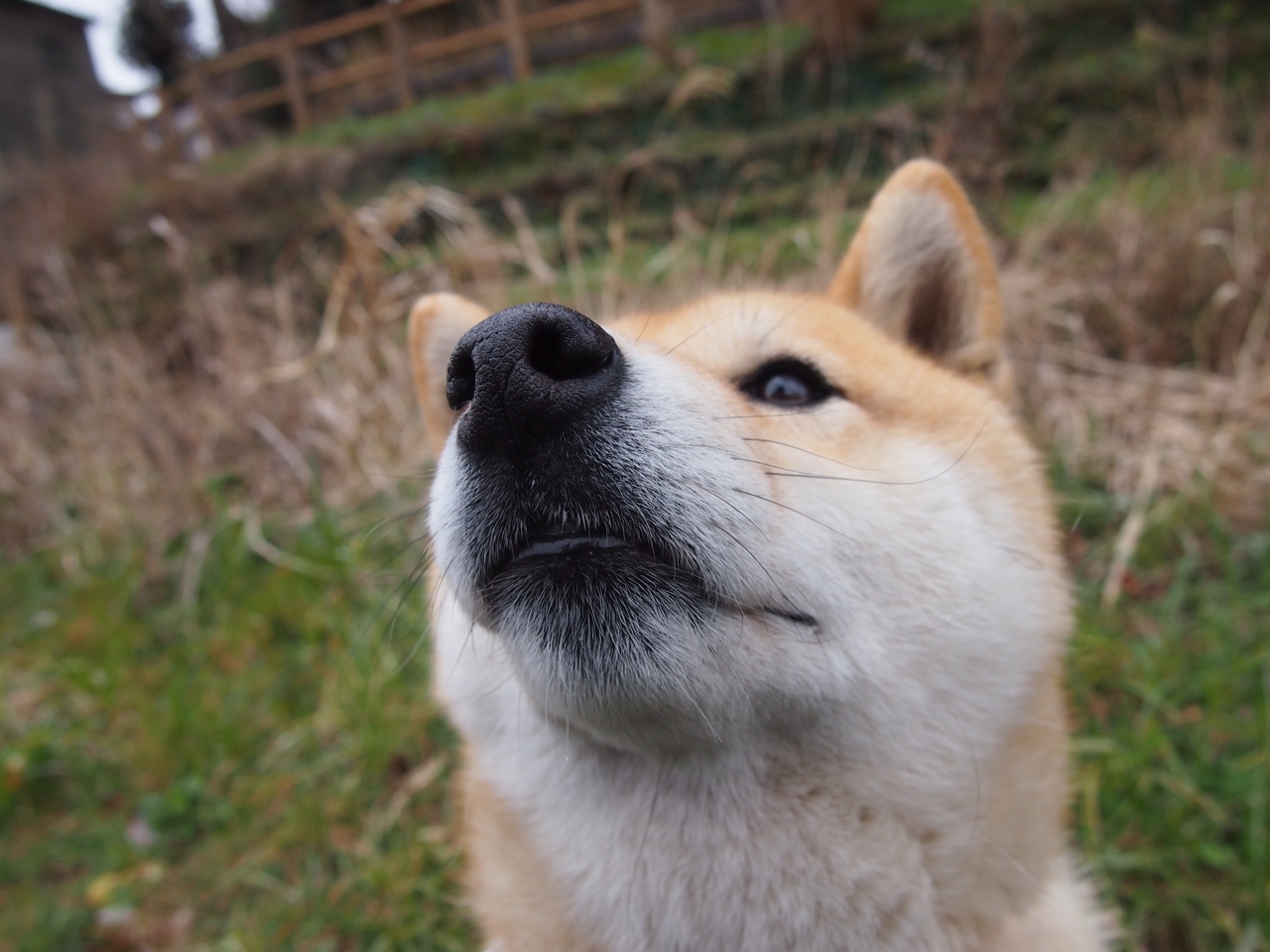 爱游戏体育APP下载-博卡中卫遭遇轮番冲击，疲于应付，博卡出来的球星