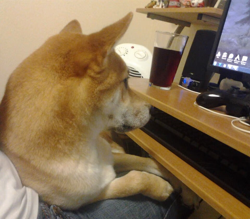 印度乒乓队未来:如何通过科学训练和数据分析提高水平,印度 乒乓球