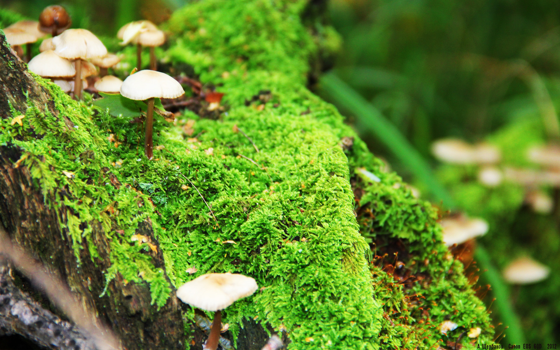 周鹏告别国家队留下宝贵经验与精神，周鹏当过国家队队长吗