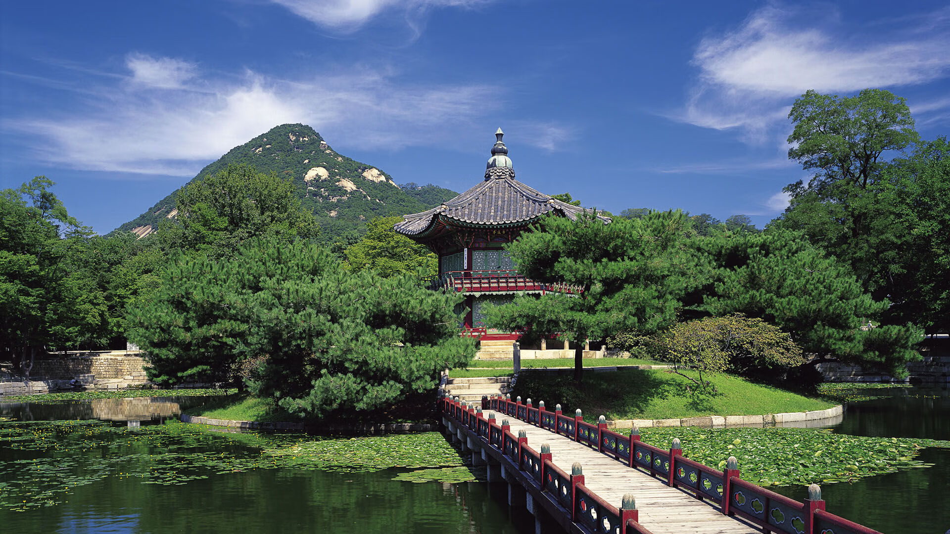 慢节奏球队如何应对快节奏对手的持续冲击,慢节奏与快节奏