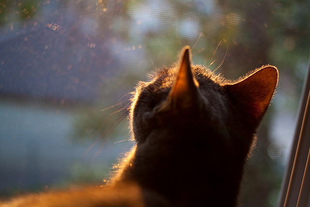 男子50米项目收获铜牌,男子50米项目收获铜牌多少秒