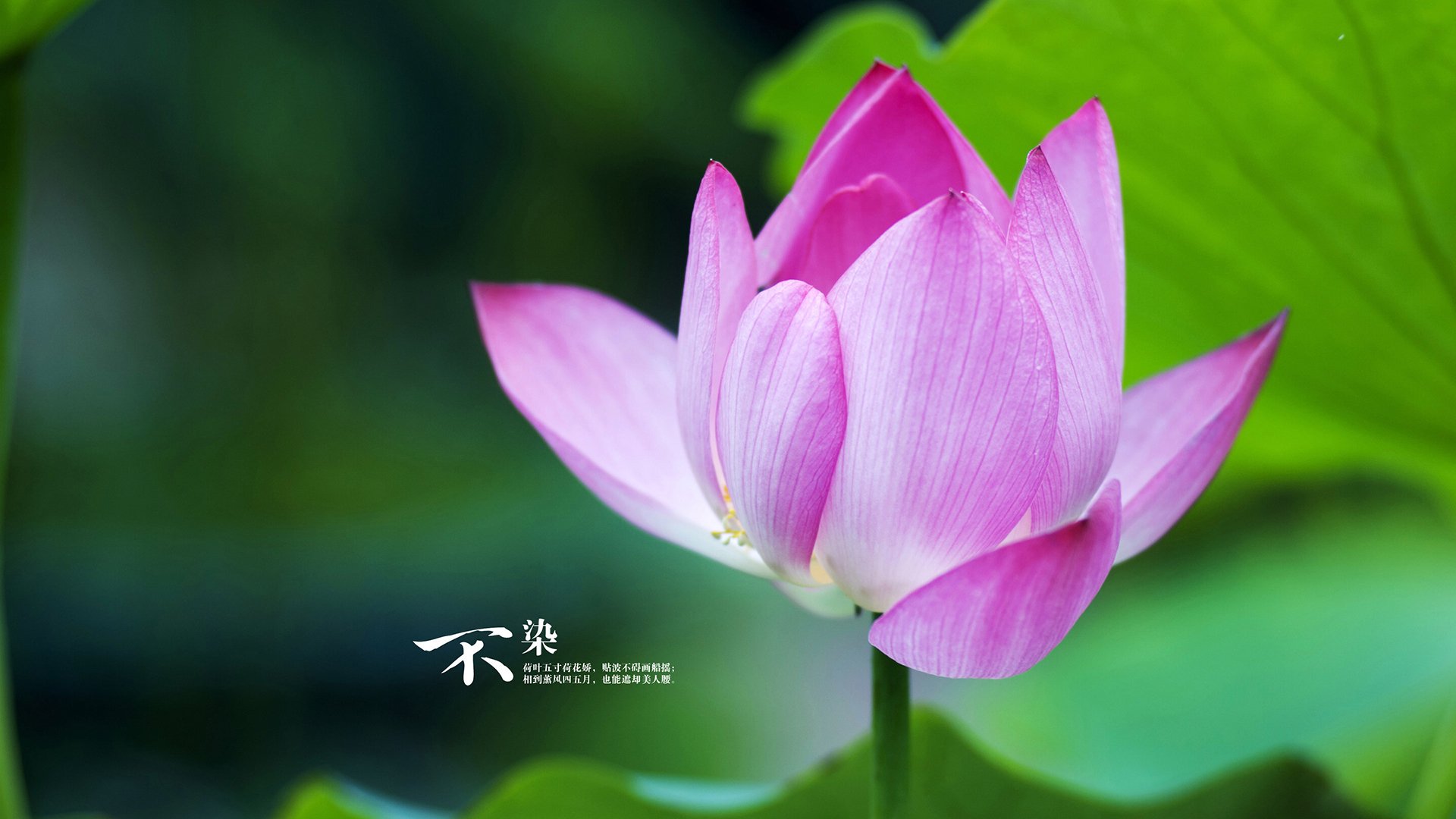 爱游戏体育-罗马以防守反击打出高效得分表现，罗马控兵技巧