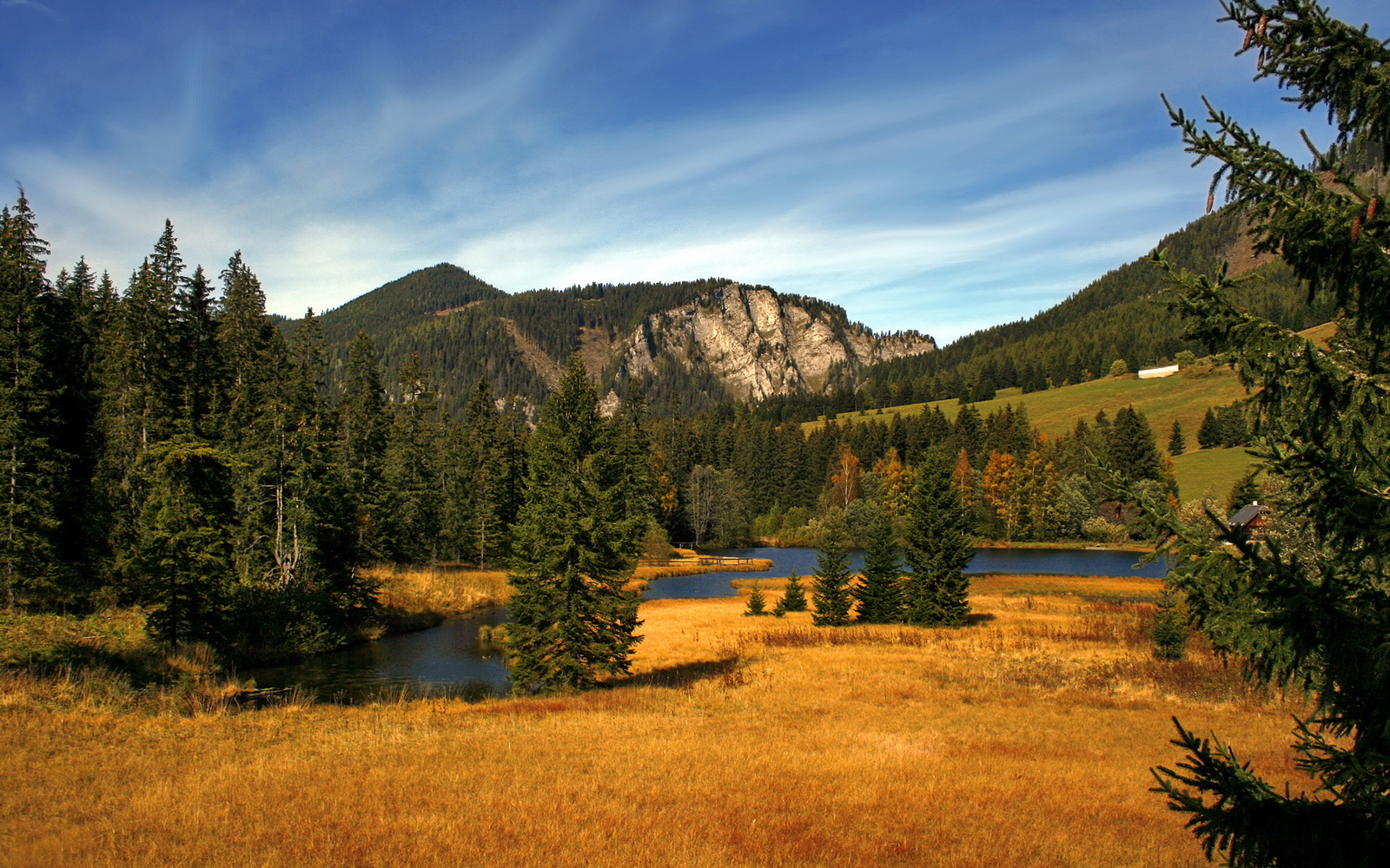 “亚戈·卡尔曼：阿根廷橄榄球的新希望，未来值得期待”