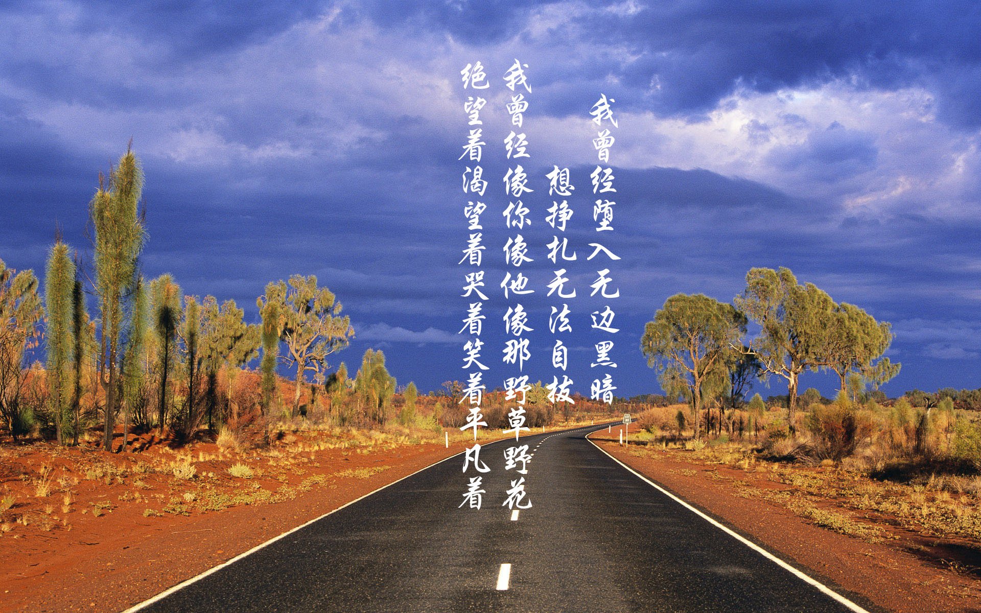 AYX GAME-“马科斯·梅特罗的全面技能，提升阿根廷美洲狮队的进攻与防守平衡”