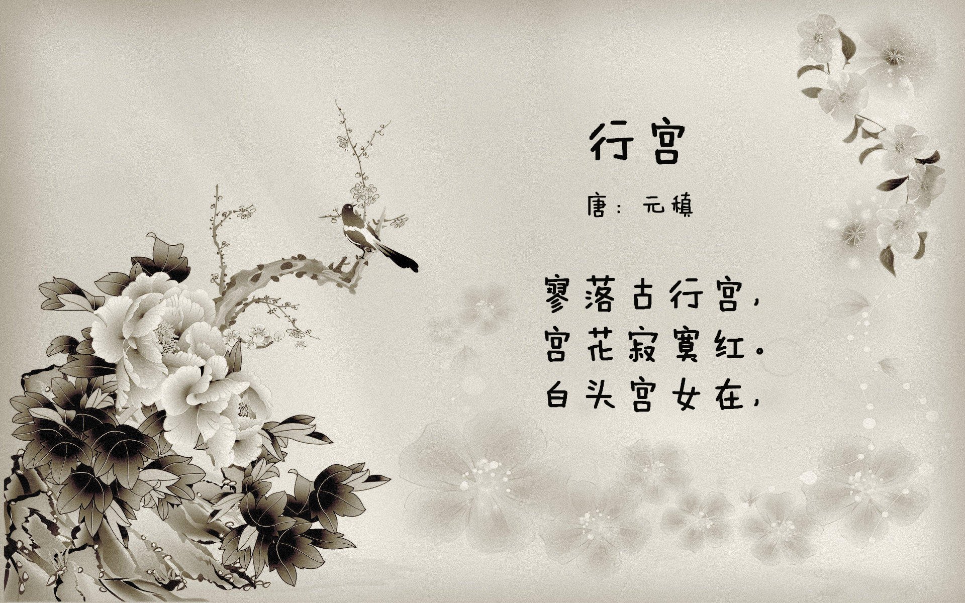 女子联赛扩大媒体开放日增强对外传播与关注，女子联赛是什么意思