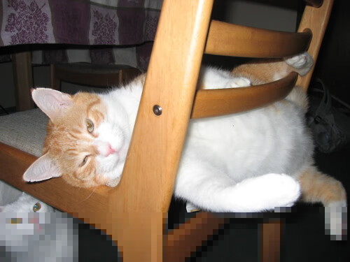 AYX SPORTS-意甲高手对决：精彩配合厘清胜负，意甲高能7秒