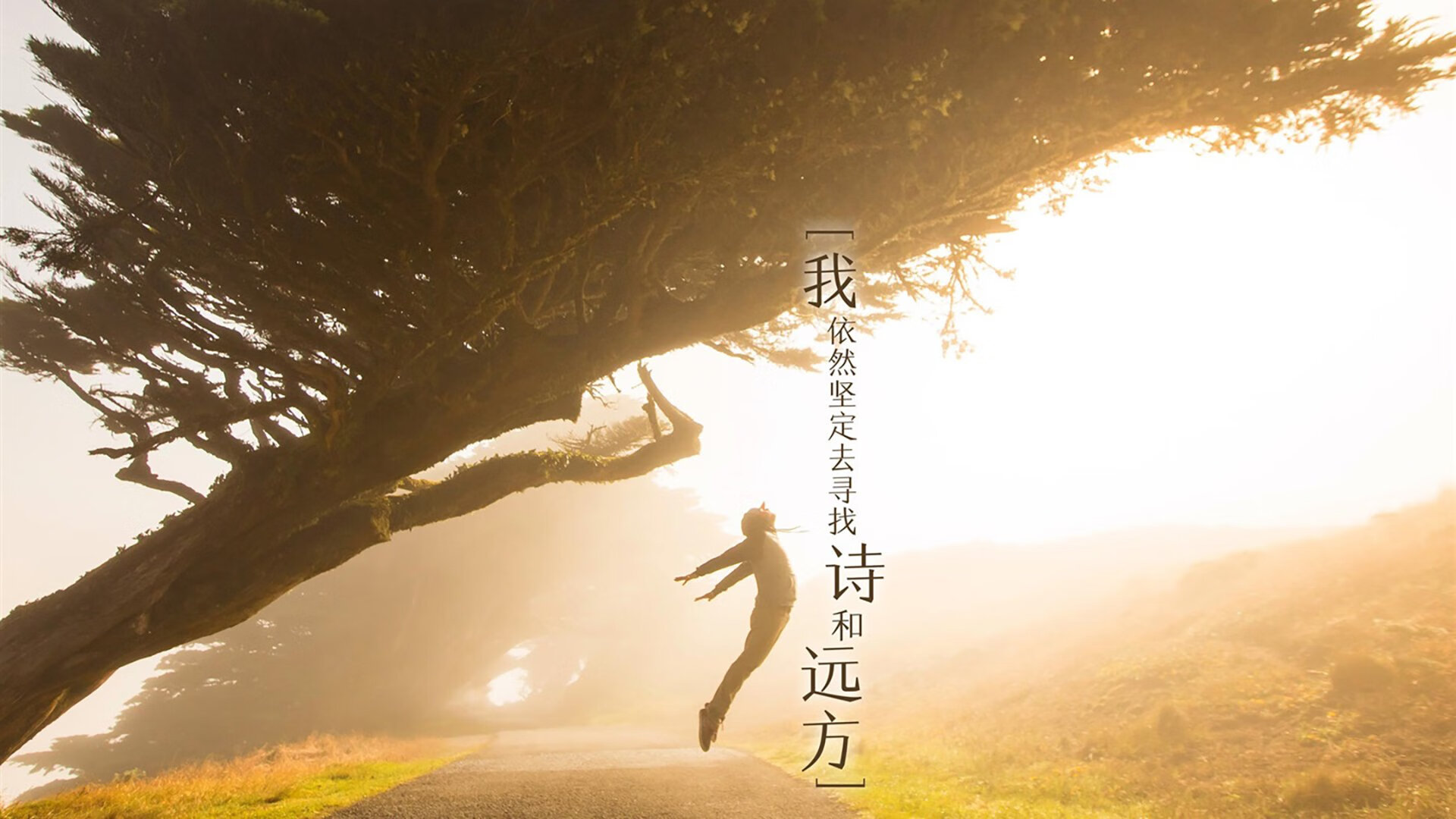 独行侠控卫重点练习应对高压防守策略，独行侠进攻