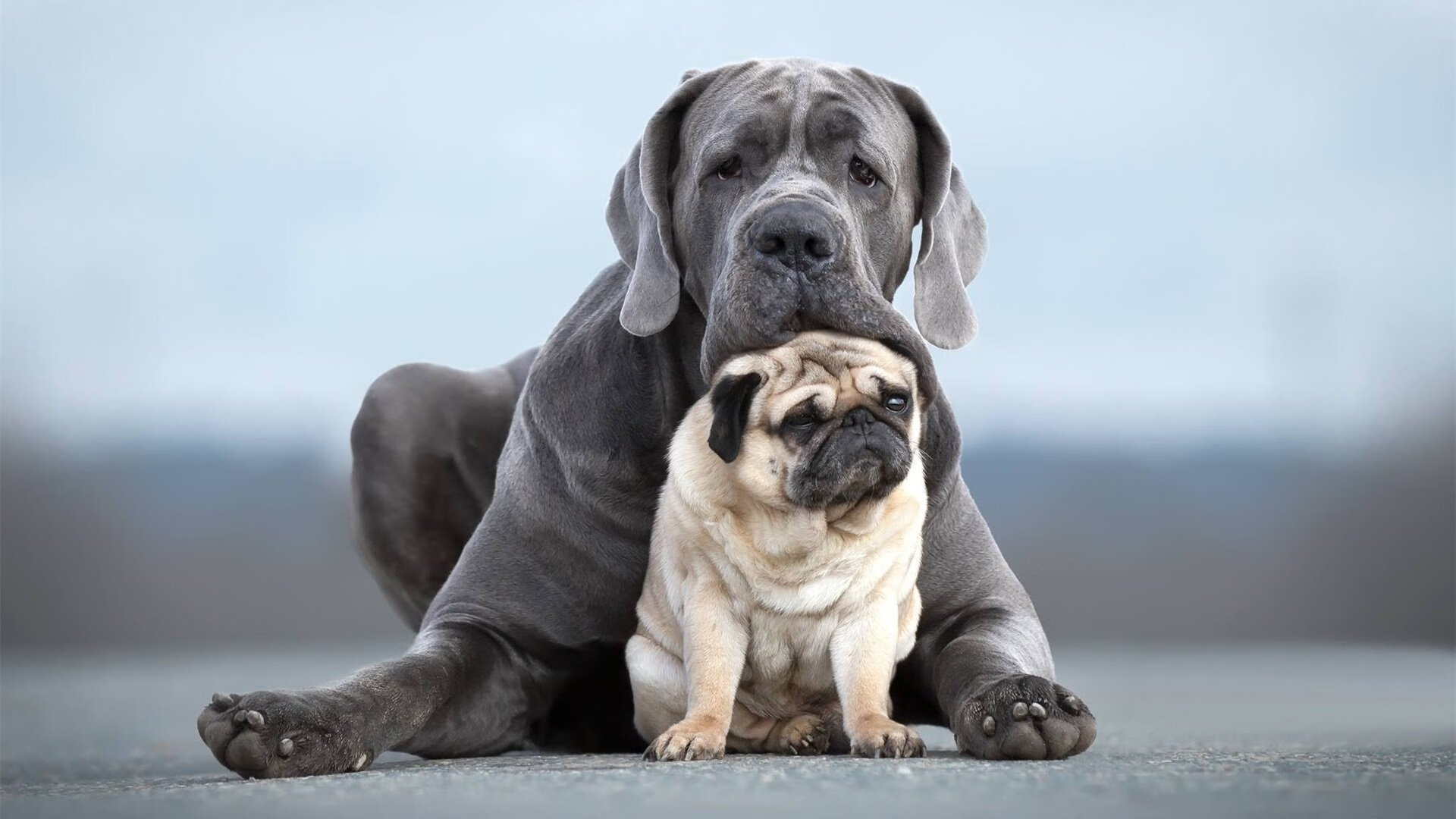 篮网训练营总结报告公布重点调整项目，篮网训练营的位置