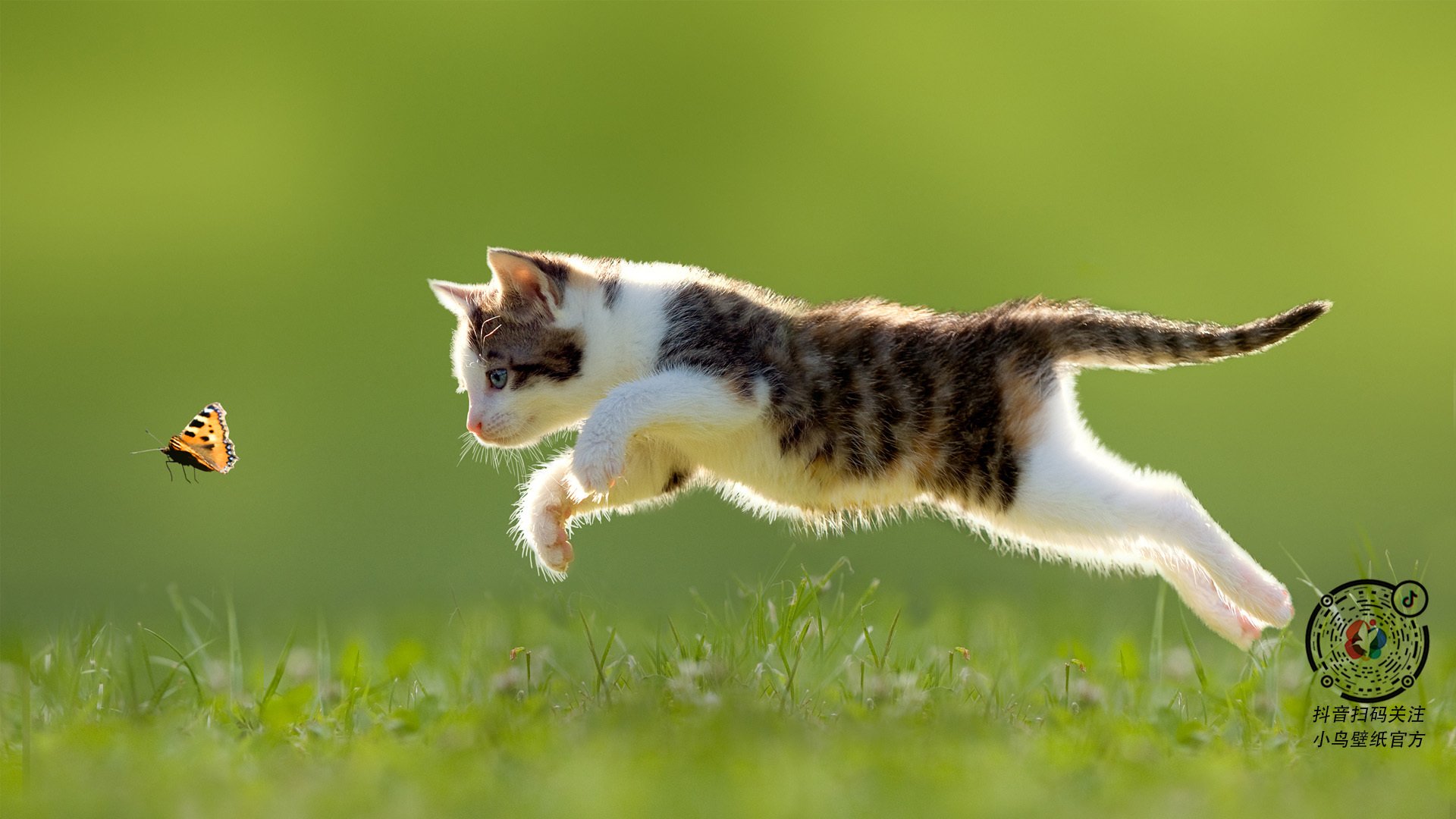 爱游戏中国官方网站平台-Carter 指挥若定带领攻防有序，指挥若定失萧曹的生肖