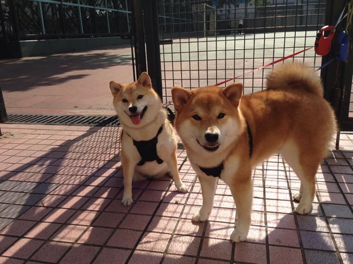 一日英超观察:斯洛特赢球引发争吵,VAR争议谁得利?,斯洛特耶斯世锦赛